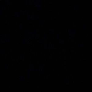 Meet your Posher, Oscar